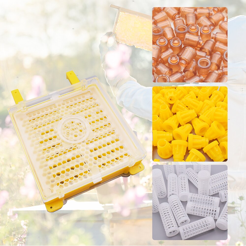 Königin Aufzucht Kasten Zucht Bausatz Biene Inkubator Bienenzucht Werkzeug Bausatz Königin Zelle Komplette Königin Aufzucht Bausatz Bienenzucht Aufzucht System