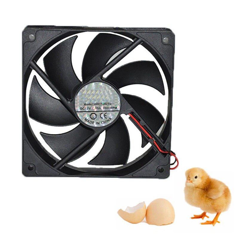 Mini ventilateur d'échappement de 12V | Pour Mini ventilateur automatique 48/56, accessoires pour incubateur d'œufs/de poulets