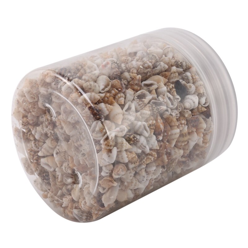 About 1300-1500 Tiny Sea Shell Ocean Beach Spiral Seashells Craft Charms 7-12mm for Candle Making,Home Decoration,Beach Theme Pa