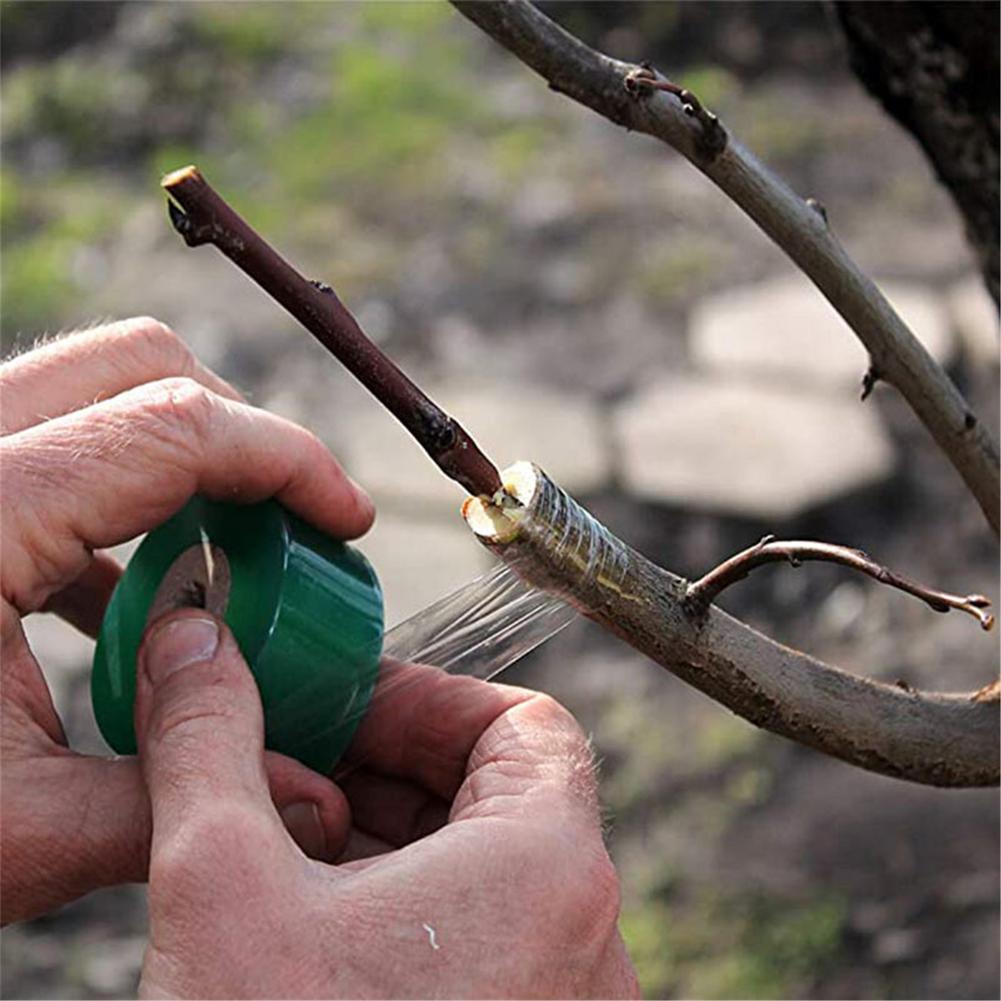 Cinta adhesiva de PVC para injertos de árboles frutales, cinta para sujetar ramas y jardinería, accesorios para injertos, 3/4/5CM