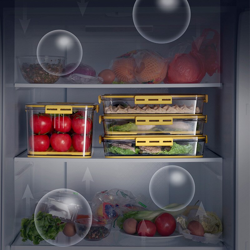 Refrigerator Storage Box Kitchen Storage Containers for Food Vegetable Fruit Timekeeping Frozen Storage Box Freezer Sealed Box