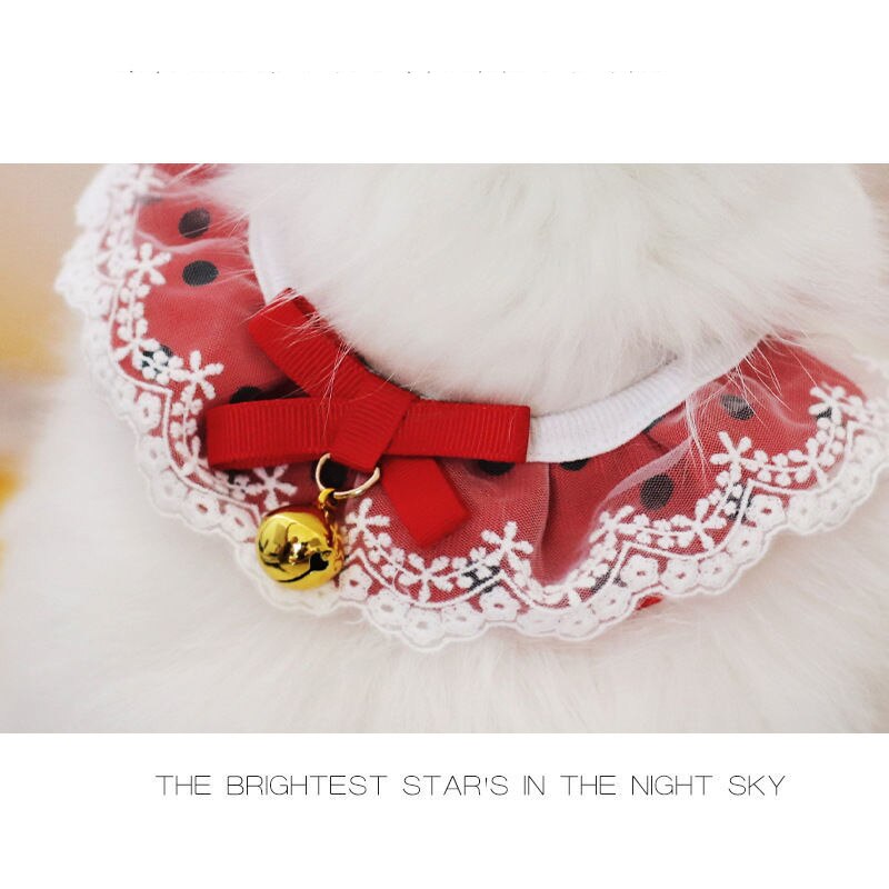 Sciarpa per animali domestici bavaglino in pizzo per gatti cucciolo sciarpa per collo di gatto turbante sciarpa per colletto grande sciarpa per turbante cappotto accessori per cani pettinare