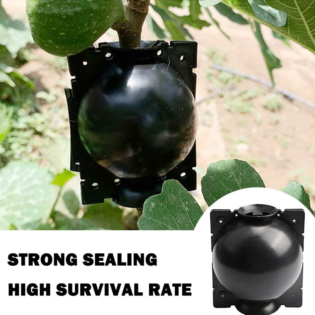 5PCS Plant Rooting Box Air Stratification Device Planting High Pressure Grafting Growth Breeding Ball Garden Sapling Propagation