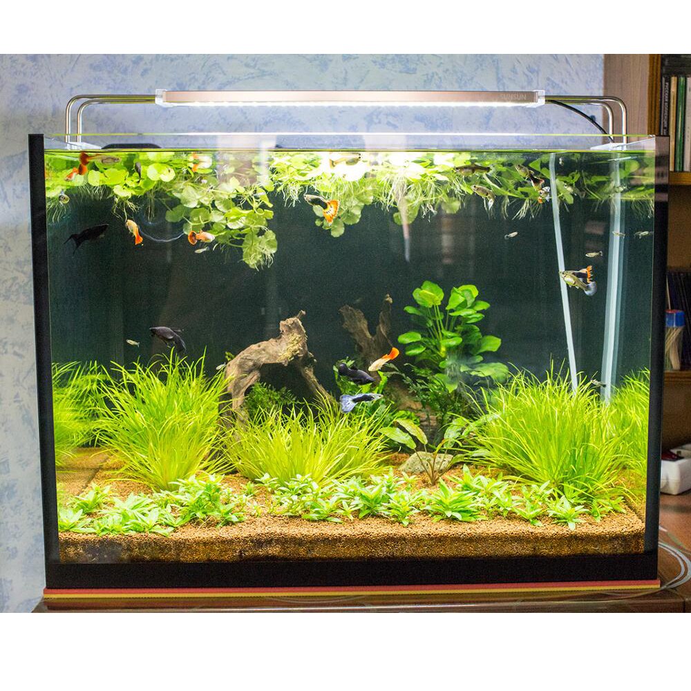 SUNSUN ADE – lampe LED pour Aquarium 16.5-51cm 5-24W 220V, éclairage pour plante Marine
