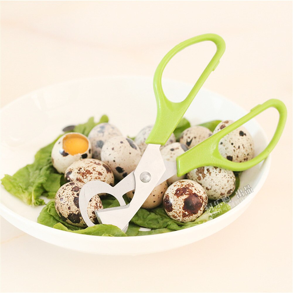 Quail Dove Bird Turtle Egg Scissors Cracker Opener Cigar Cutter Stainless Steel Blade Tool