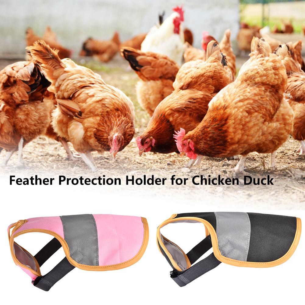 Ropa de Mascota para aves de corral, delantal de sillín, soporte de protección de plumas para pollo y pato,