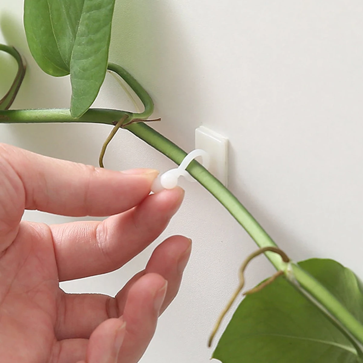 Soporte para plantas trepadoras de hierro, enrejado de jardín con revestimiento negro a prueba de óxido para enrejado de vid y flores de interior, 1/3 Uds.