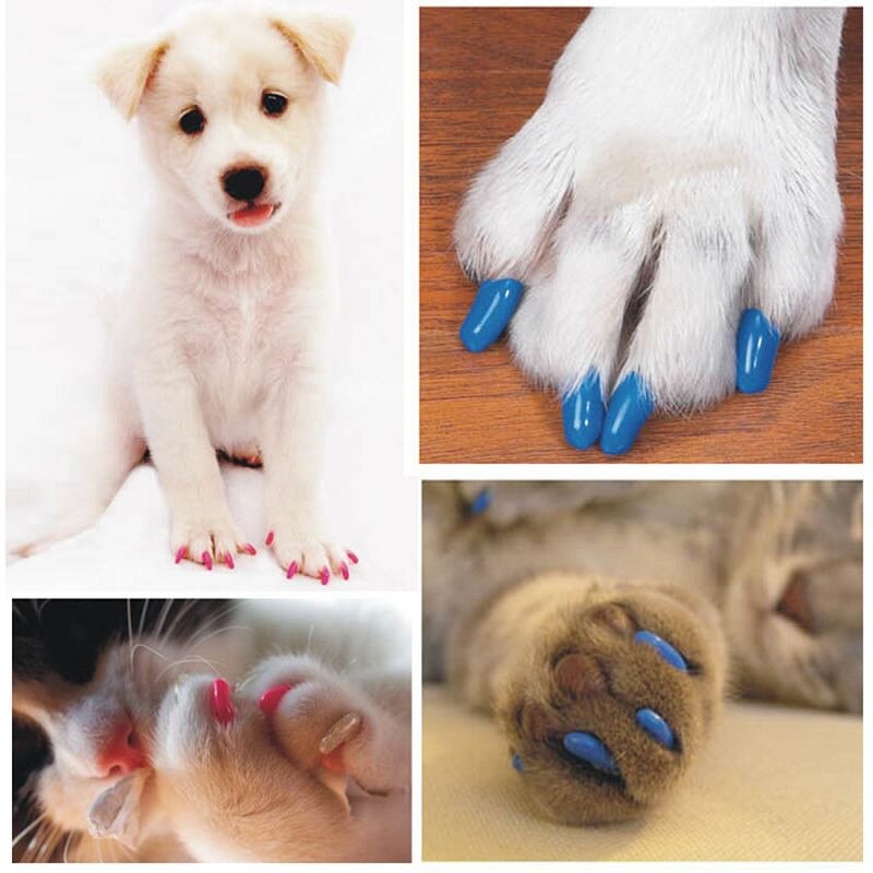 Colorful 20pcs Cats Dogs Paws Caps Protective Nail Claw Cap+ Adhesive Glue Soft Rubber Pet Nail Cover Pet Supplies Chihuahua