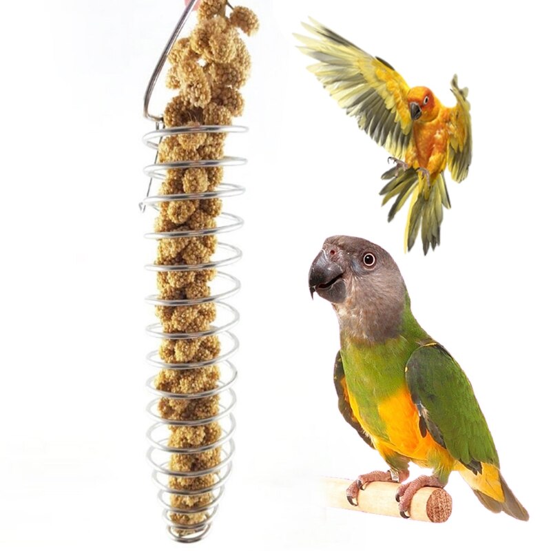 Parrot Food Fruits Basket Millet Stainless Steel Feeding Device Bird Cage Feeder