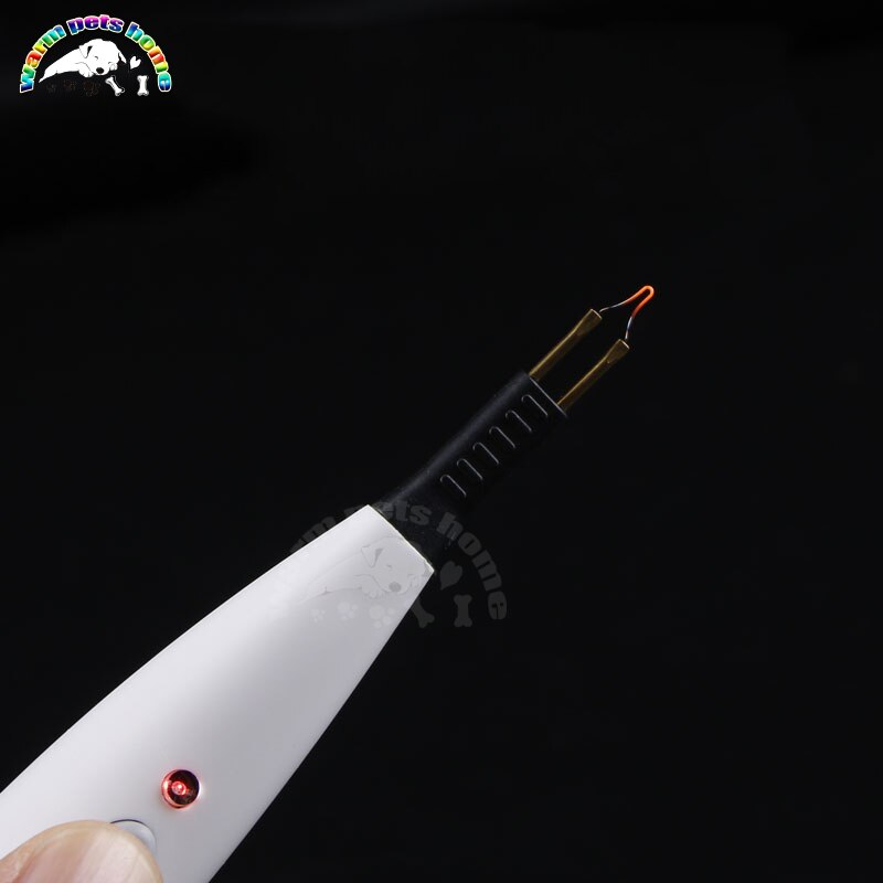 Electrocoagulation Pen Hemostatic Device Cautery Pen Gutta Cutter Ophthalmic Instrument Veterinary Equipment