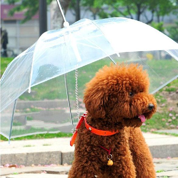 Gennemsigtig kæledyr hund paraply bærbar med indbygget snor behagelig hvalp paraply kat regnfrakke hund paraply regnfrakke til hunde