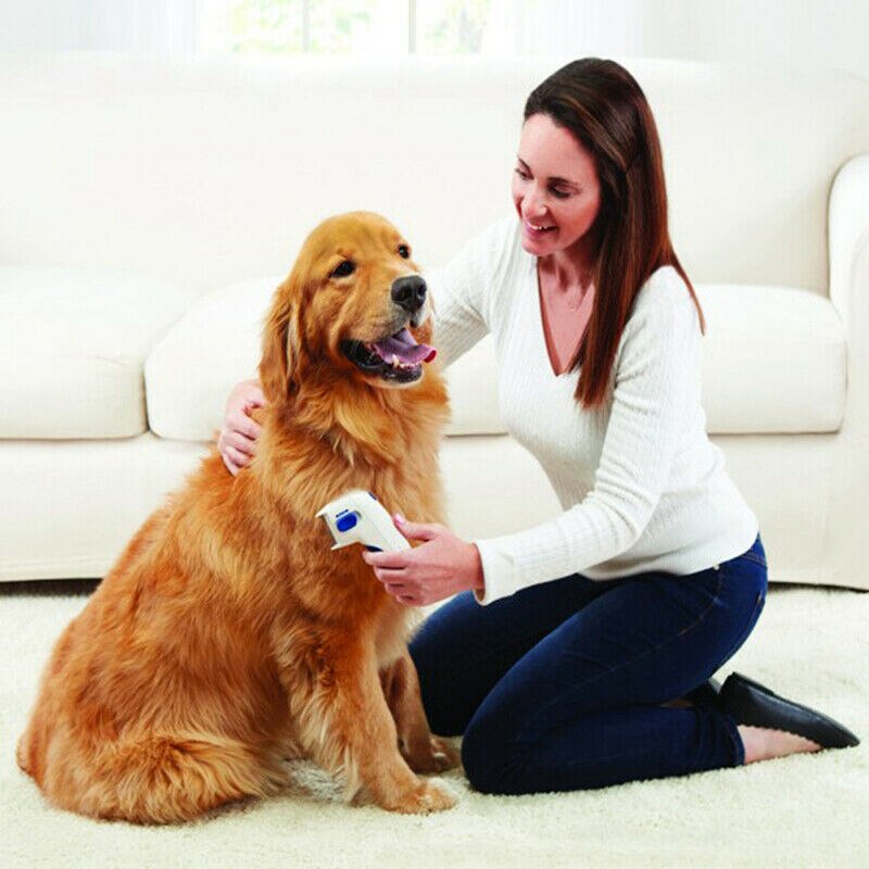 Electric Terminator Comb Anti Removal Kill Lice Cleaner Electric Head Pet Cat Dog Supplies Puppies Fleas Electronic Lice Comb