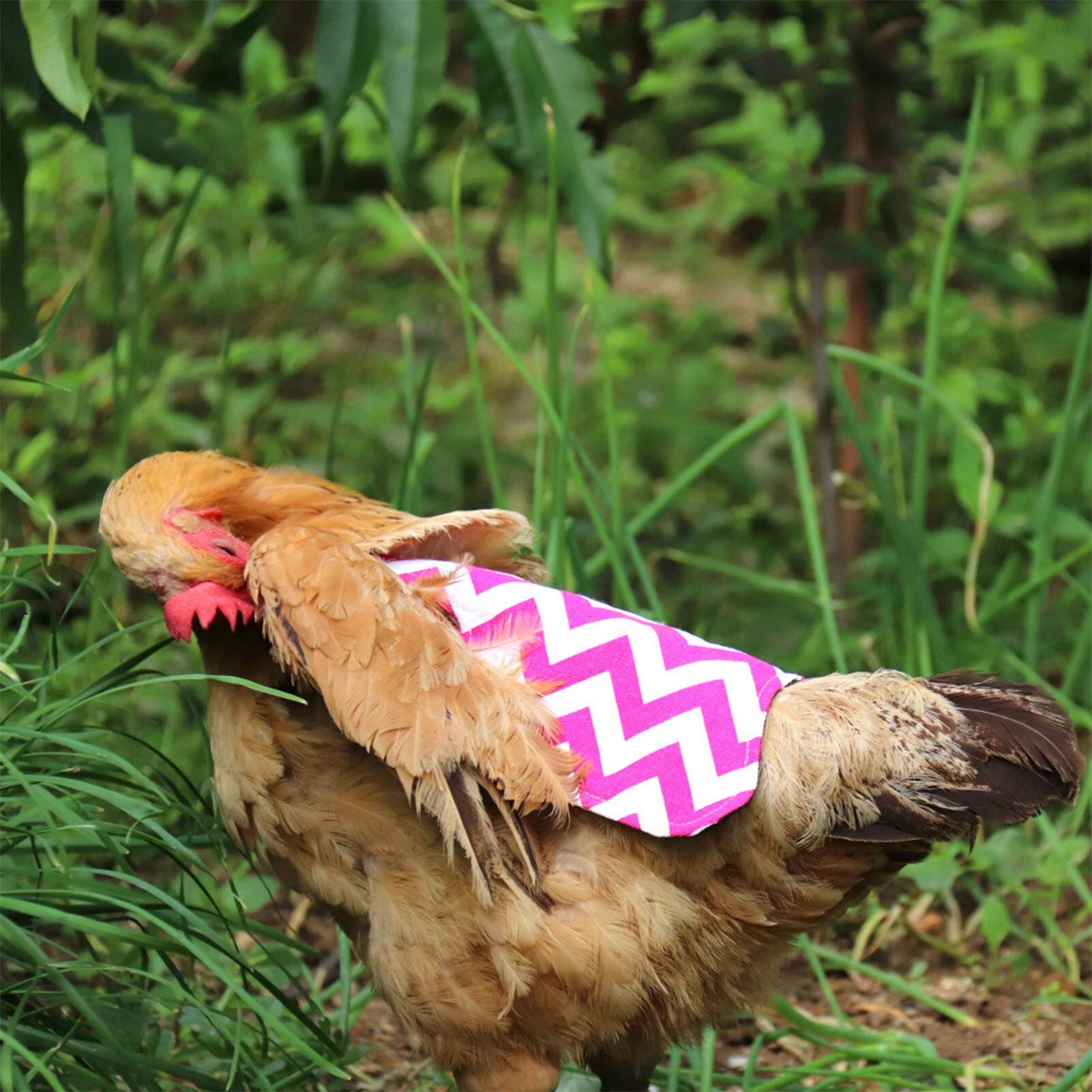 Chicken Protection Apron Vest Hen Saddle Single Strap Apron Jacket Chicken Harness Clothes Feather Protection For Chicken Duck