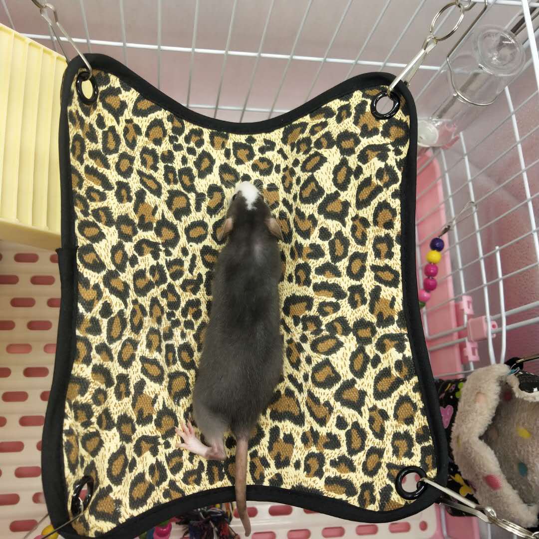 Lente Zomer Canvas Duurzaam Ademend Eekhoorn Hamster Hangmat Kleine Dieren Huisdier Kooien Opknoping Slapen Pads Huisdieren Benodigdheden: Leopard / 15x15 cm
