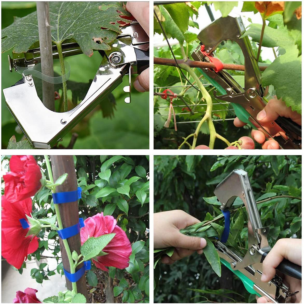 Ruban adhésif de jardin en PE, 10 pièces, outils pour attacher les plantes, les branches, les arbres, les légumes et les fruits