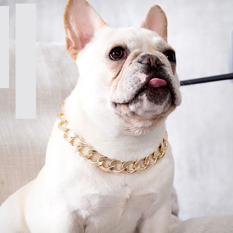 Hond Gouden Ketting Plastic Kleine En Medium Halsband Huisdier Ketting Sieraden Teddy Franse Bulldog Bully Dierbenodigdheden