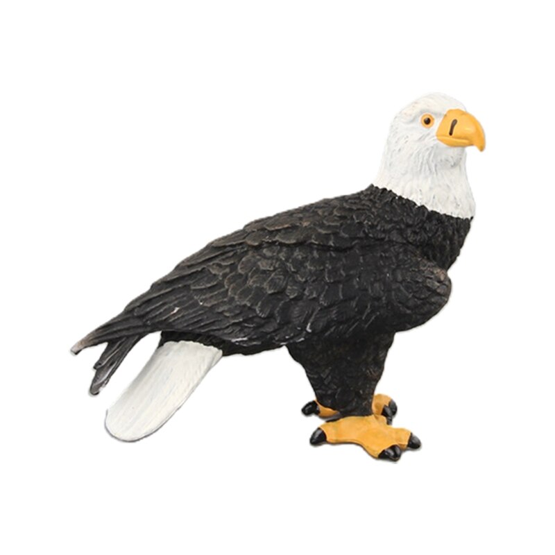 Simulated Bald Eagle Owl Model Realistic Bird Figurines Action Figure for Collection Science Educational Children Kids: 633