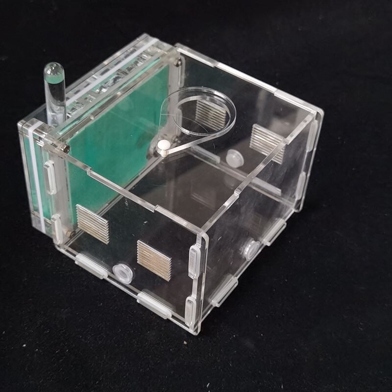 Large Ant Farm Acrylic Ecologico Ant Nest Workshop Transparent Insectes Ants Queen Ants Workshop Ecologico Observation Ant House