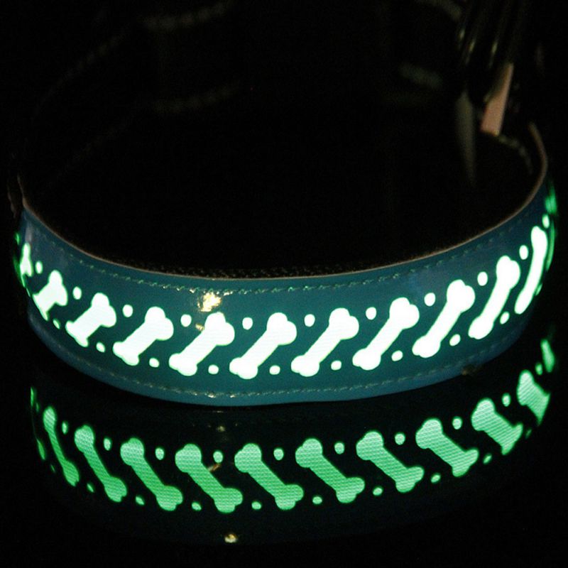 Collier de chien de LED en cuir d'unité centrale Rechargeable d'usb de collier pour animaux de compagnie de lumière de nuit collier de lueur avancé, collier réglable d'animal de compagnie de sécurité