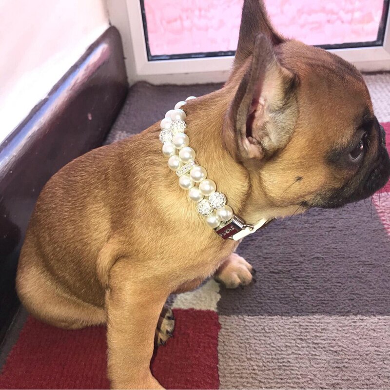 Hundehalsbånd kunstige perler pigghalsbånd kjæledyrhalsbånd justerbart skinnhalsbånd for liten hund