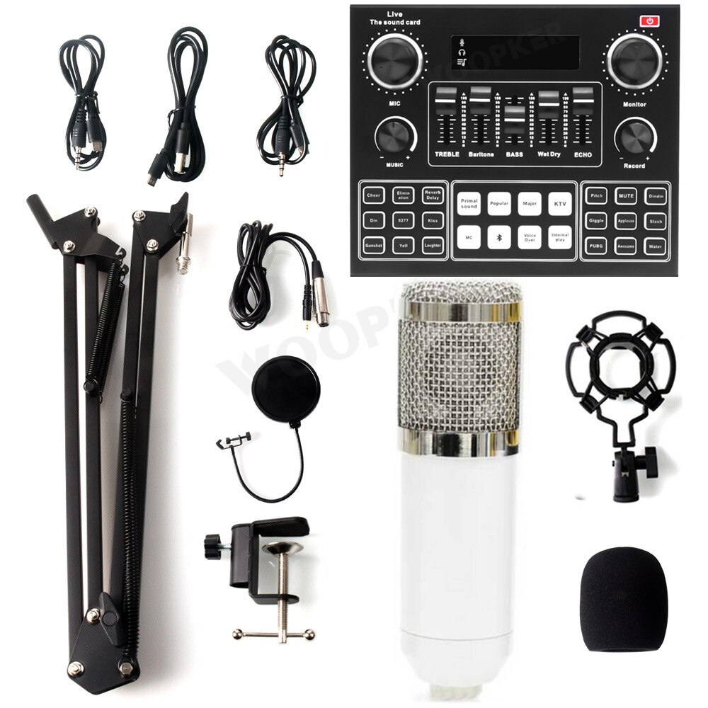 Professionnel Condensador Microfone Bm 800 Microphone with V9 Sound Card for Gaming PC Karaoke Studio Equipment USB Microfono: White V9