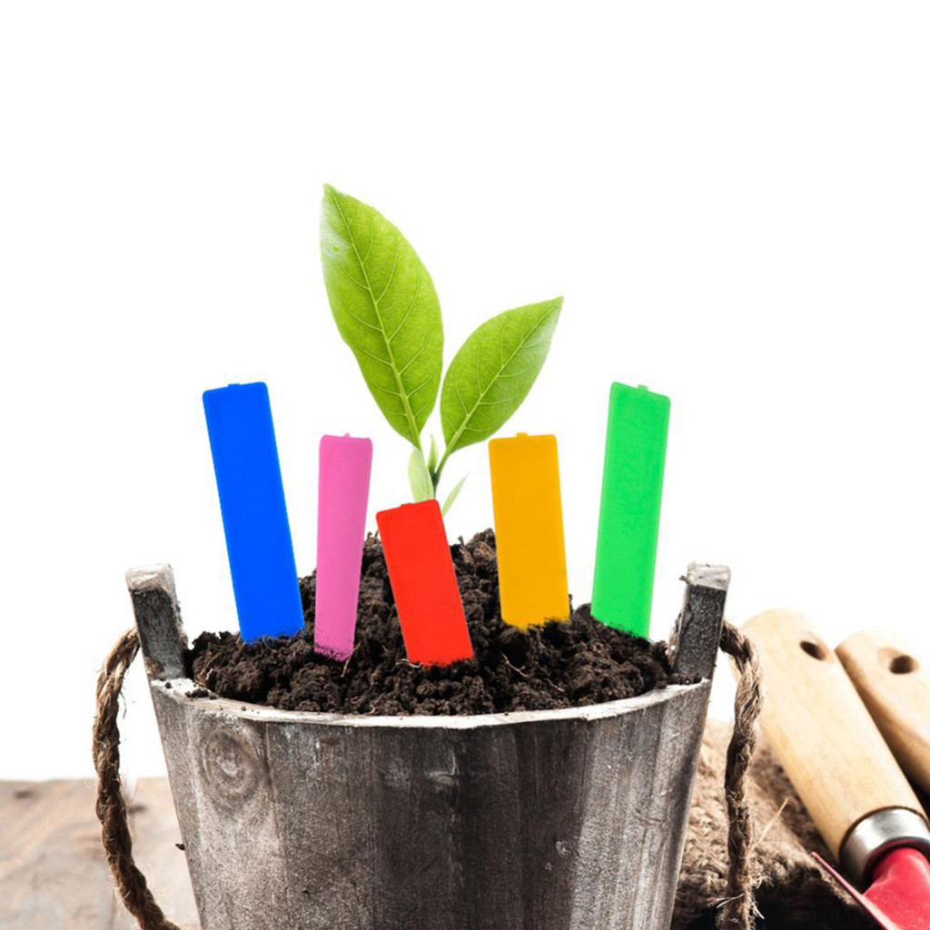100 st trädgård grönsak markör plast växt utsäde etiketter pot markör plantskola trädgård stav taggar 5cm x1cm