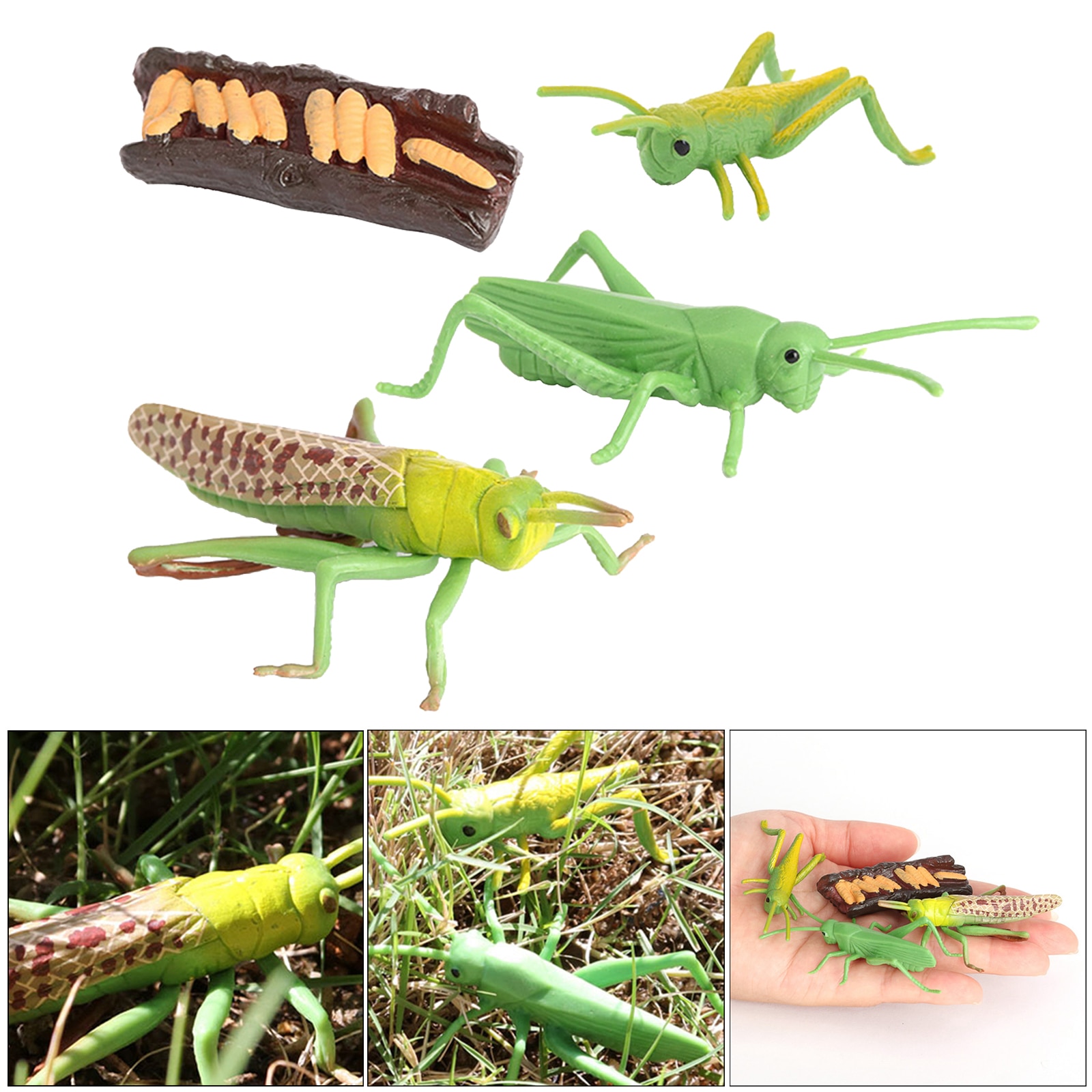 Figura de crecimiento de saltamontes naturales, juguete de simulación de plástico, para educación, fantasía, juguetes de biología, ayuda para enseñanza, temática
