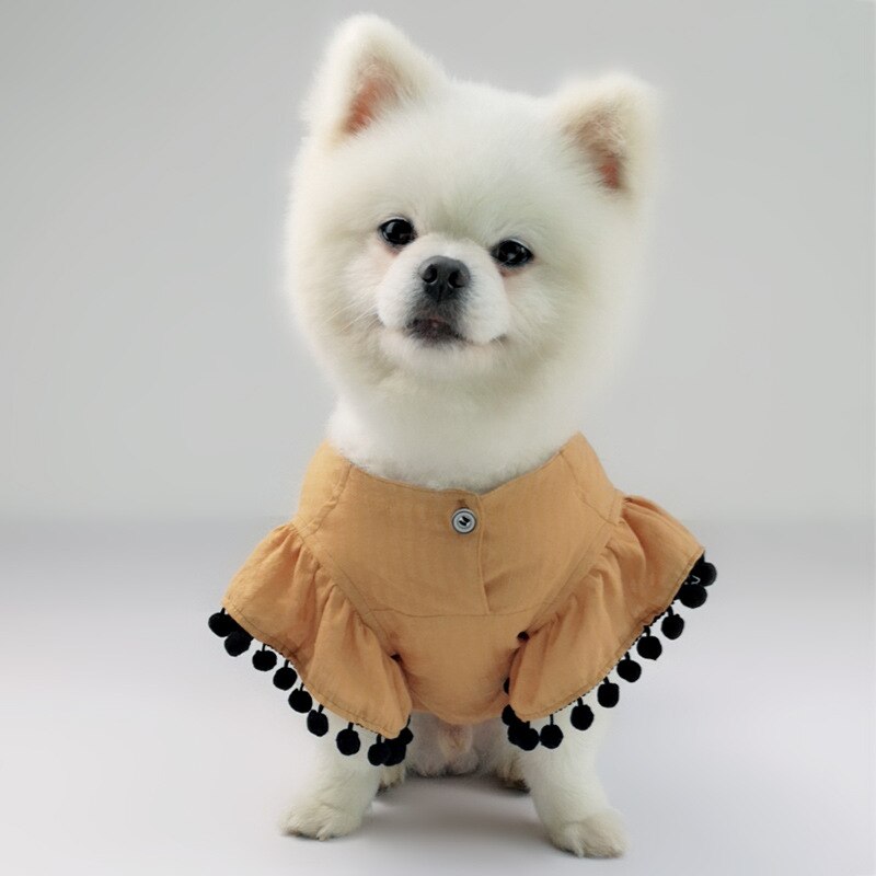 Mexicansk kappe chihuahua sommer cool t-shirt hundetøj til små hunde yorkshire hvalp mops åndbart kostume xs-xxl: Gul / M