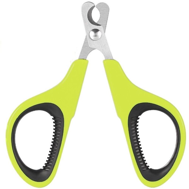 Image showcasing Amazon.com: Scissors For Dogs Face And Eyes