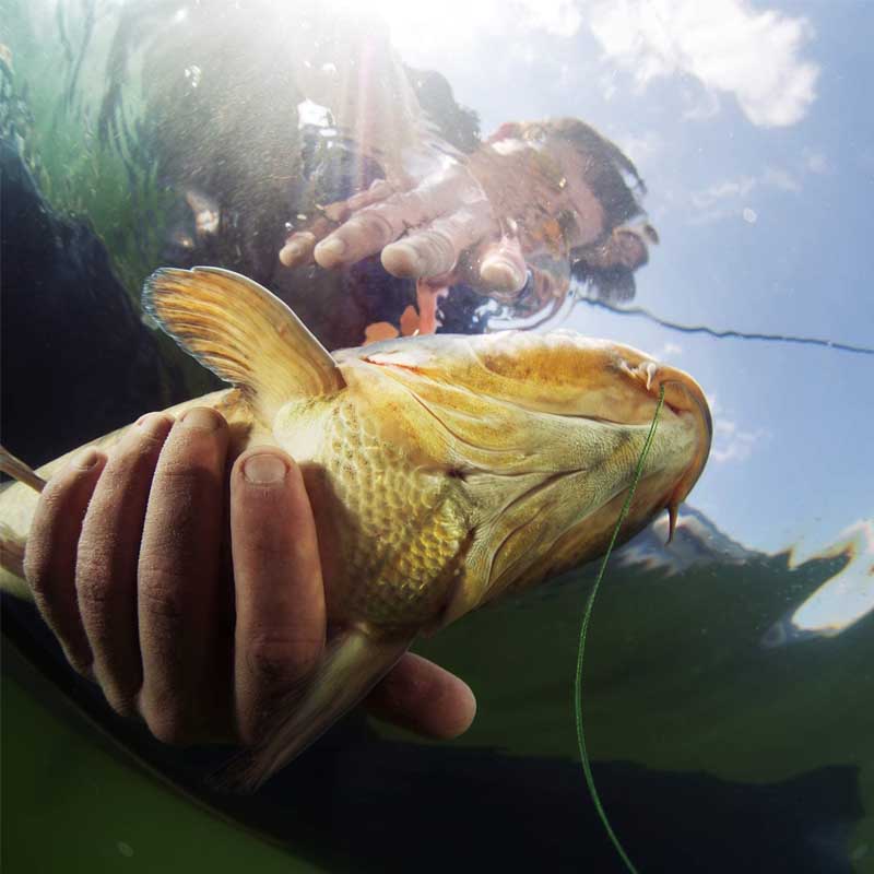 Bobber de pesca cilíndrico Space Bean, flotador de goma, tapón de cuentas, plomos, conector de línea de pesca, 10 grupos, 60 uds.