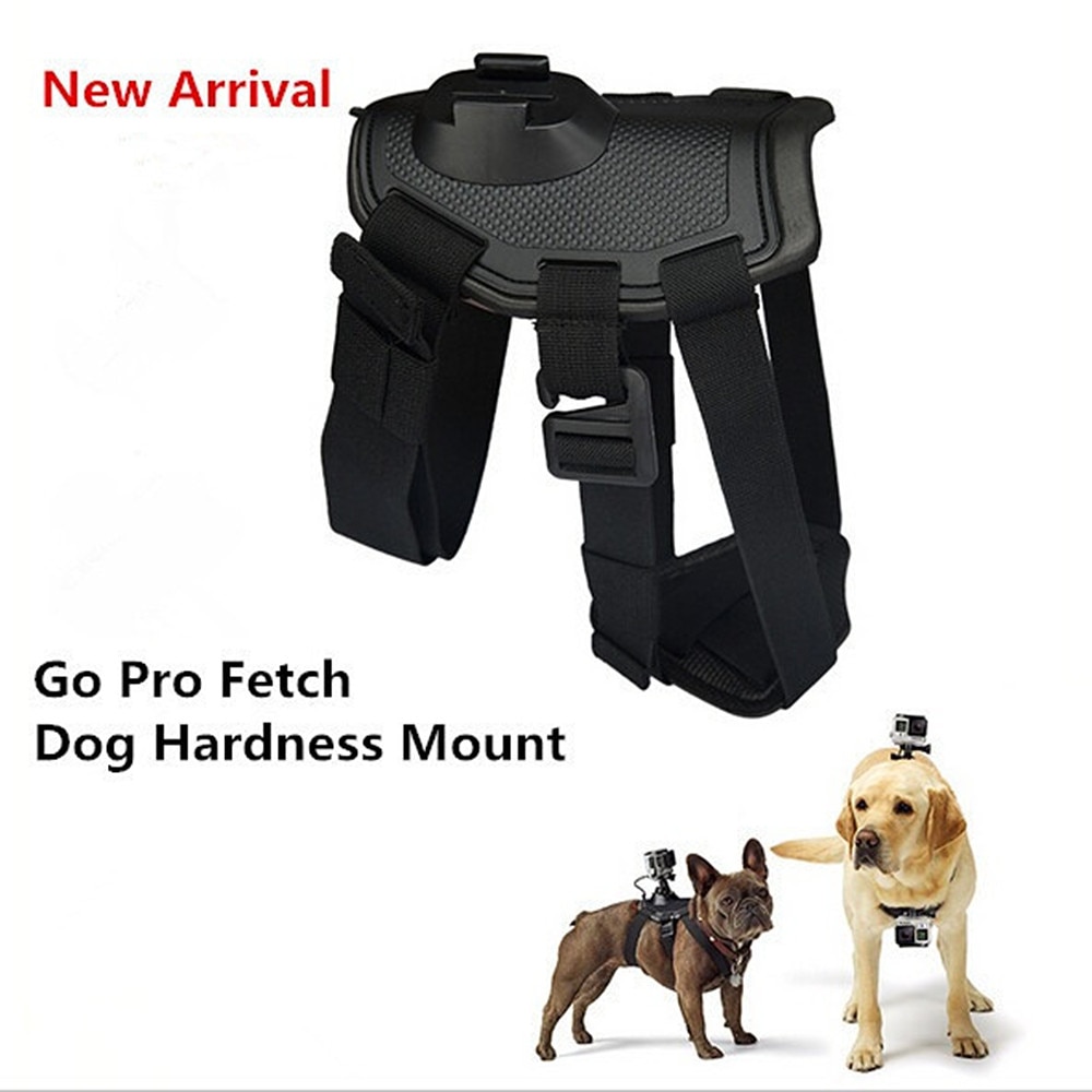 Dog Pet Chest Strap Belt Mount for Sony RX0 II X3000 X1000 AS300 AS200 AS100 AS50 AS30 AS20 AS15 AS10 AZ1 mini Action Cam