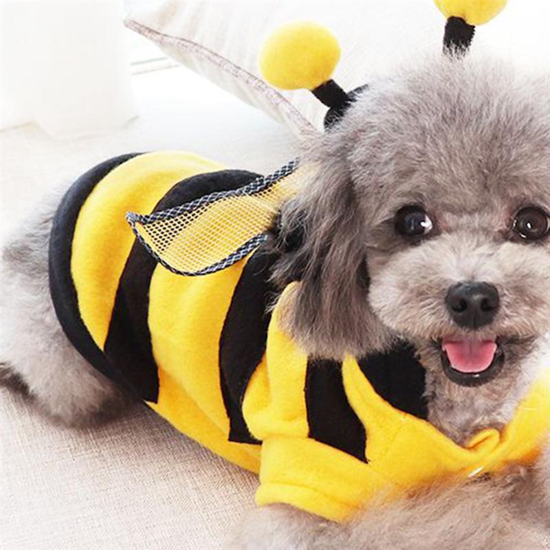 Disfraz de una pieza para mascota, disfraz de abeja de cuatro patas, para gato, disfraces de perros, talla XS-XL
