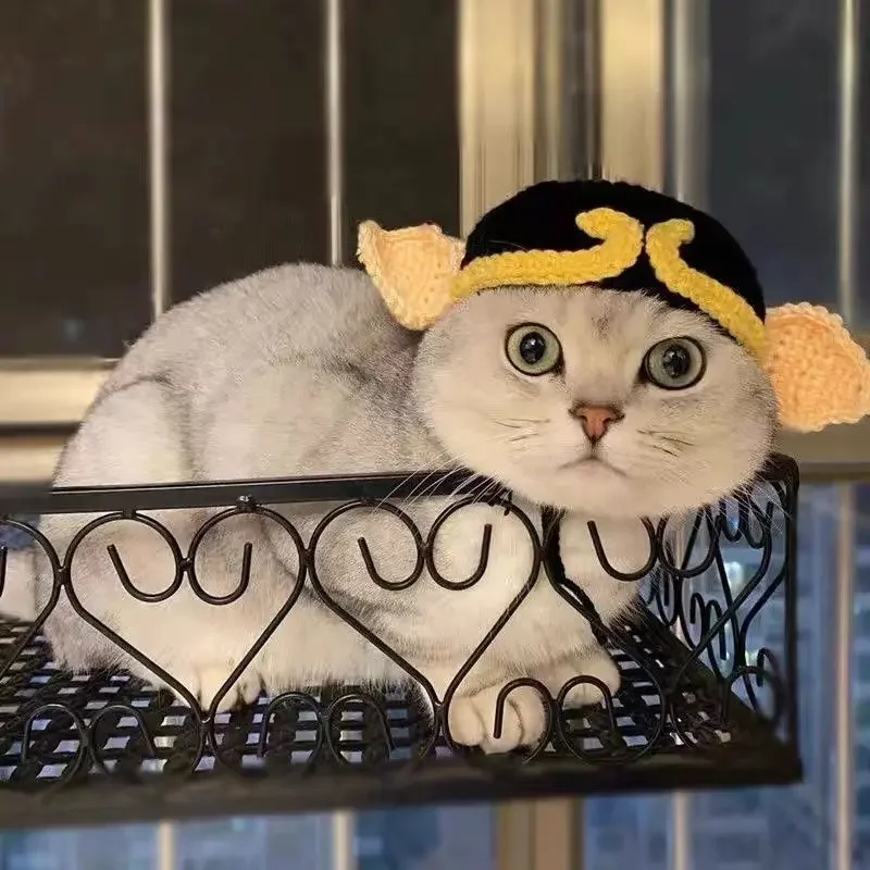 Gorro de punto elástico para gato, accesorio refinado para mascota, cachorro, gatitos, , sesión de fotos, decoración, Otoño e Invierno: Azul cielo