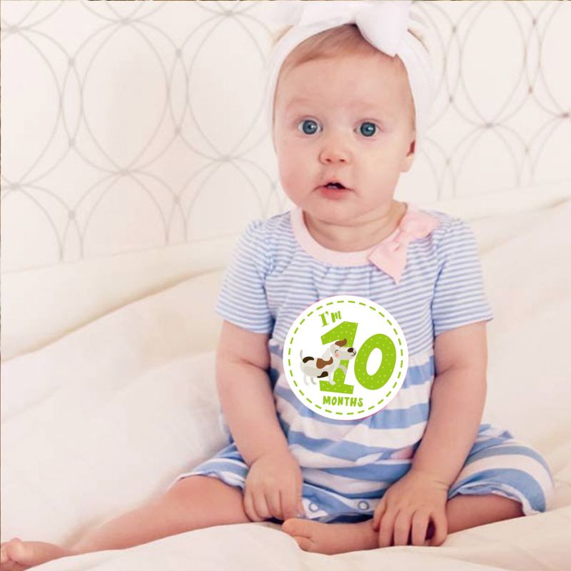 12 baby mijlpaal stickers maandelijkse foto foto rekwisieten voor jongen of meisje baby rompertje , 1st jaar maanden buik sticker