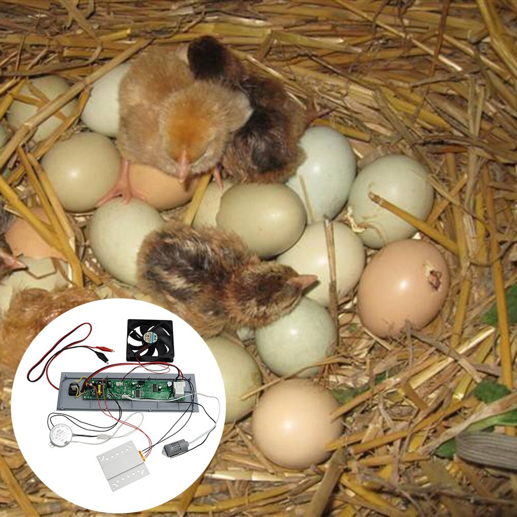 Incubator Controller Heats Evenly And Low Power Consumption Digital Probe Stable Performance Manual Incubator