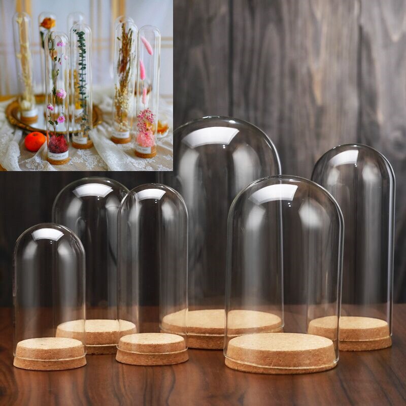 5pcs Clear glass display dome with wood base Display Stand dry flower plant Box for bedroom living room office decor Display