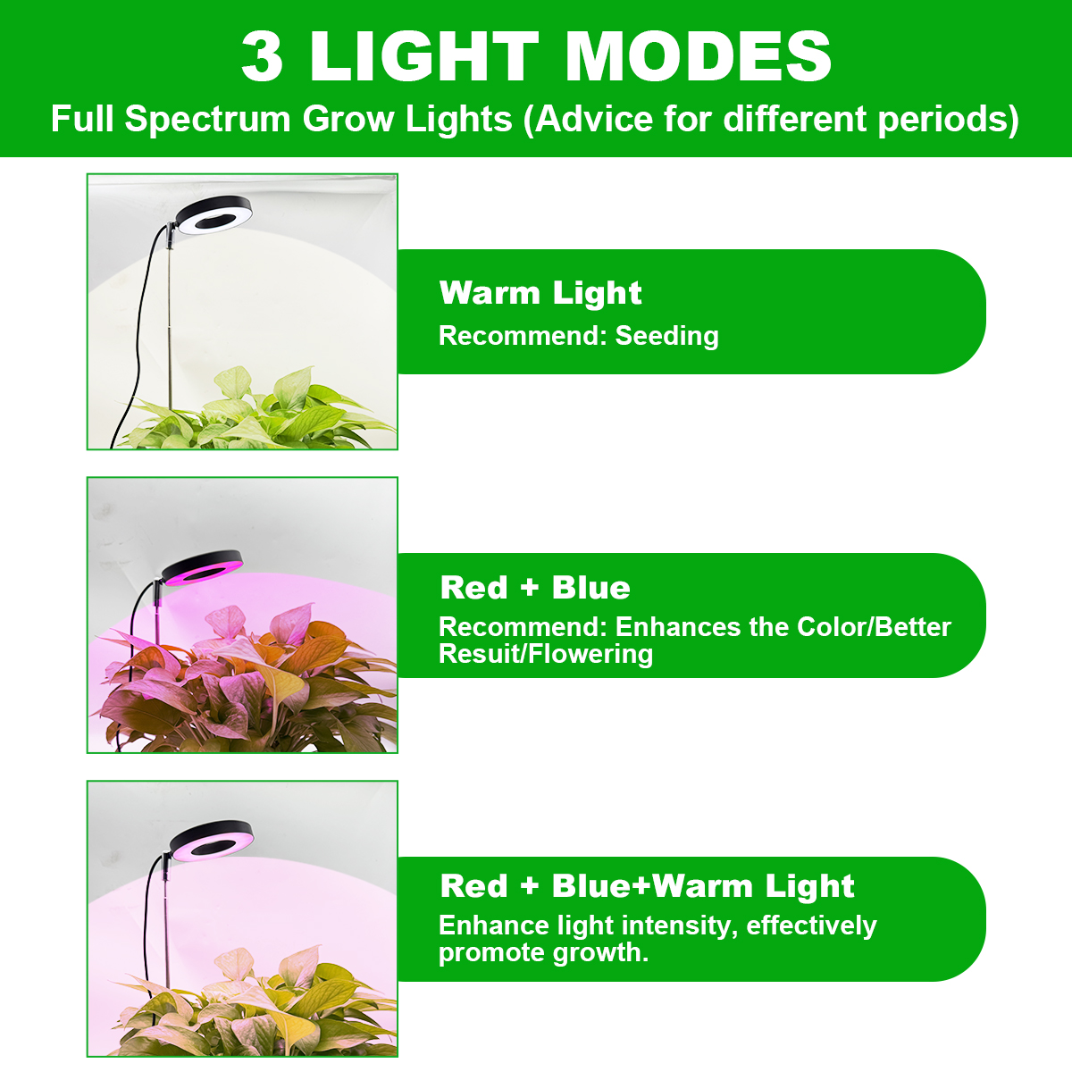 Drie kleuren met basisplantlicht Volledig spectrum LED-groeilicht voor kamerplanten 3/9/12 timing in hoogte verstelbaar 10-niveaus dimmen