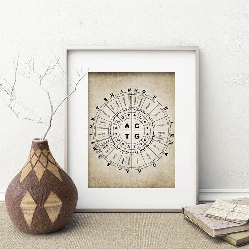 Dna En Rna Genetische Code Muur Art Prints Genetica Biochemie Student Vintage Wetenschap Retro Poster Kraftpapier