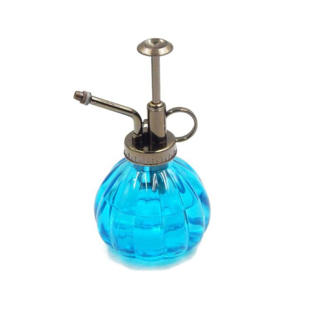 Retro glazen spuitfles, planten, bloemen, waterkan, tuinsproeier, pomp, mist, gieter, pot: Blauwe pompoen