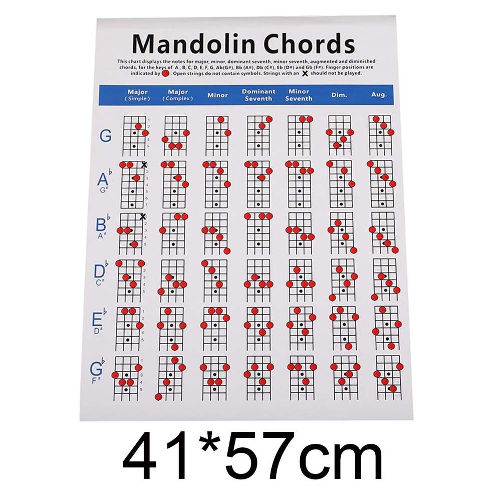 Mandolin Fretboard and Chord Chart Instructional Poster Fingering Chart Musical Stringed Instruments Accessories: 41x57cm