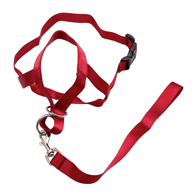 Kæledyr hund polstret hoved krave mester hundetræning grime stopper med at trække træningsværktøj: Rød / L