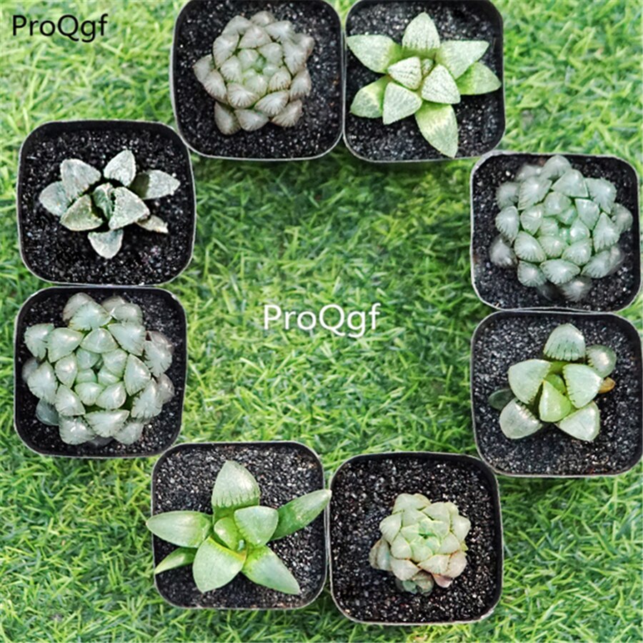 Prodgf Set Of 8 Green Plants Bonsai Home