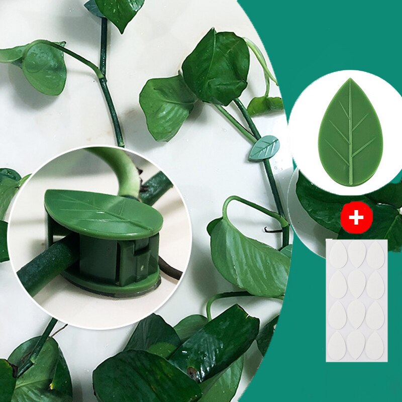 10 Uds planta trepadora fijador de pared tipo hoja planta verde dispositivo de fijación Invisible Clip de vid sujetador Snap tracción forma