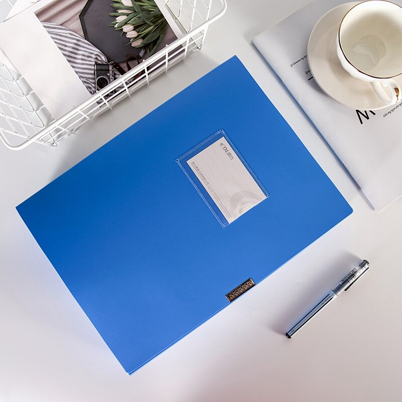 DL DINGLI File Case 35 Mm PP Plastic Box Blue, Pack Of 5