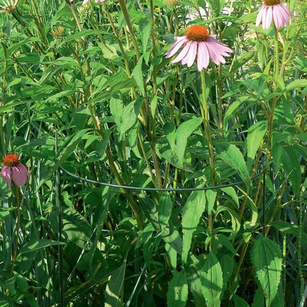 10 Pack Metal Garden Plant Support Stake Half Round Plant Support Ring Plant Cage Plant Support for Tomato Rose Vine