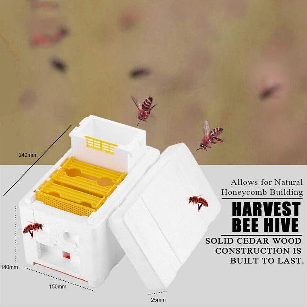 Caja de polinización King Box para apicultura, marcos de espuma, Kit de equipo de apicultura, caja de colmena de abejas para polinizador de jardín, apicultura