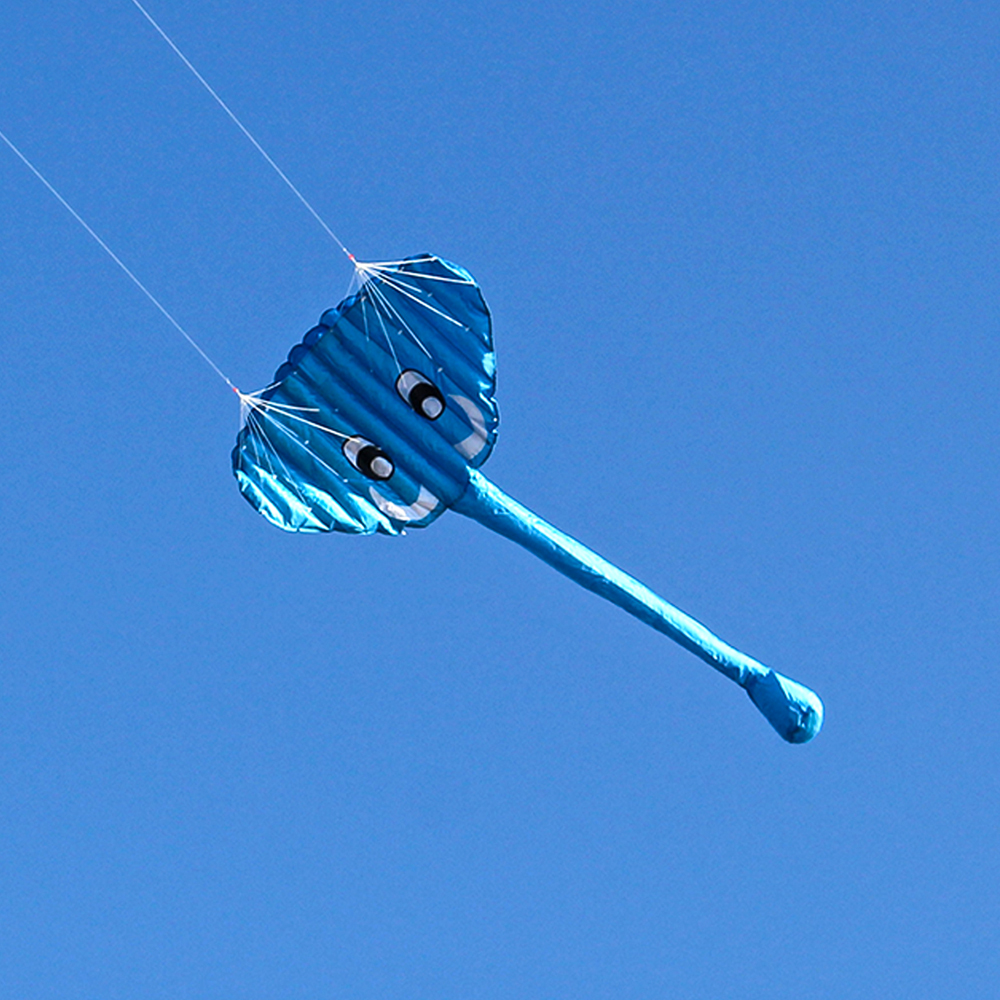 140 x 70cm flyvende drage rammeløs blød dual line stunt elefant parafoil drage kæmpe faldskærm sport strand flyvende drage
