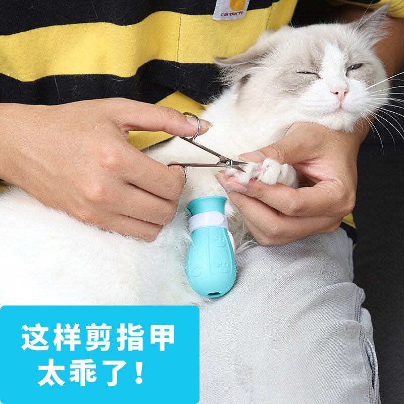 Couvre-pieds en Silicone anti-rayures et morsures pour chat, chaussures de bain pour animaux de compagnie