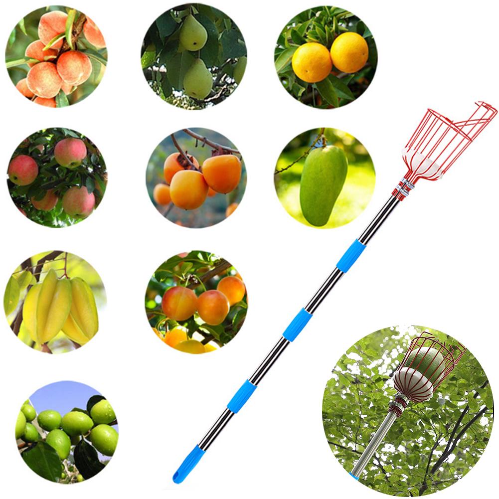Adjustable Fruit Picker Orchard Gardening Apple Peach High Tree Picking Tools Durable Fruit Catcher Collector Gardening Tools