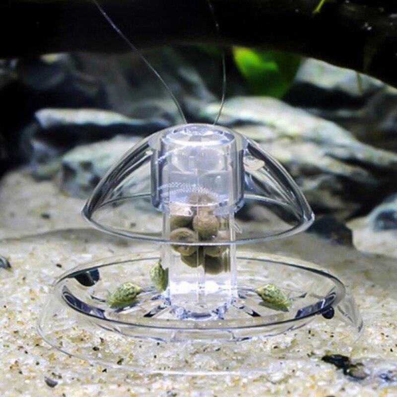 Snail Trap Clear Snail Aquarium Fish Tank Plants Planarian Leech Catch Environment Clean Tools